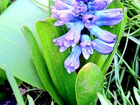 дом по адресу Садовая ул., 44