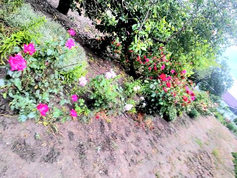 дом по адресу Садовая ул., 44