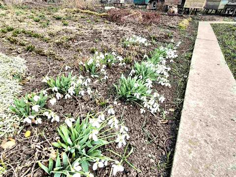 дом по адресу Садовая ул., 44