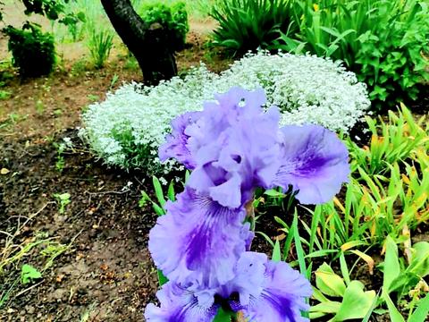 дом по адресу Садовая ул., 44