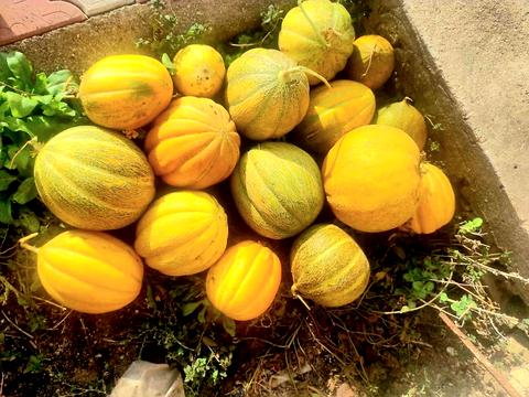 дом по адресу Садовая ул., 44