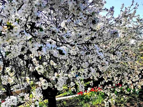 дом по адресу Садовая ул., 44