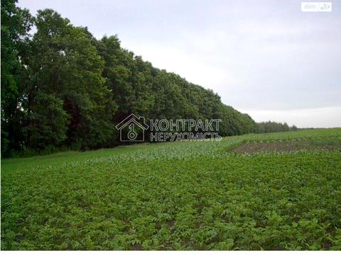 будинок за адресою пров. Польовий, 1