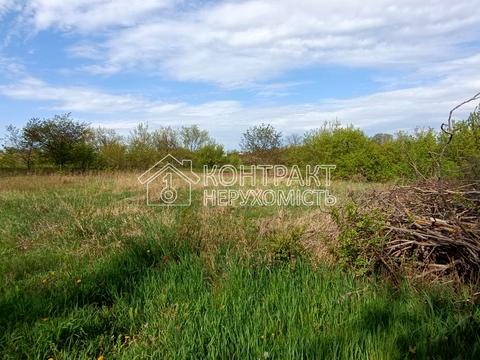 дом по адресу Шкільна вул., 1