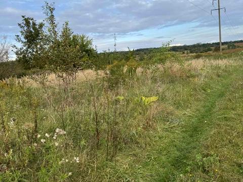 участок по адресу 