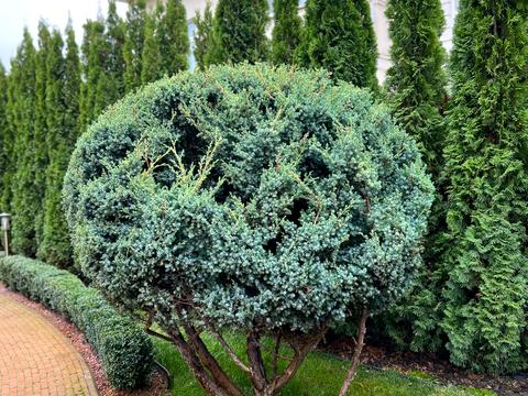 будинок за адресою Окружна вул.