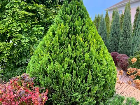 будинок за адресою Окружна вул.