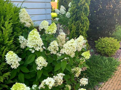 будинок за адресою Окружна вул.