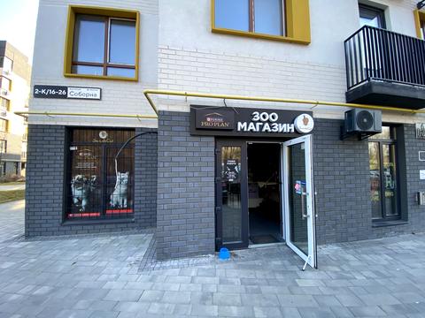 комерційна за адресою Соборна вул., 2-К/22