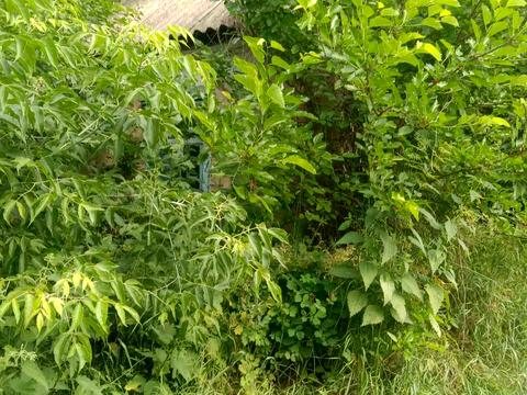 участок по адресу провулок Березовий, 10