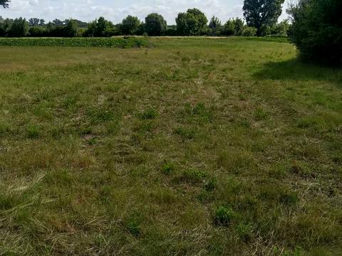 участок по адресу провулок Березовий, 10