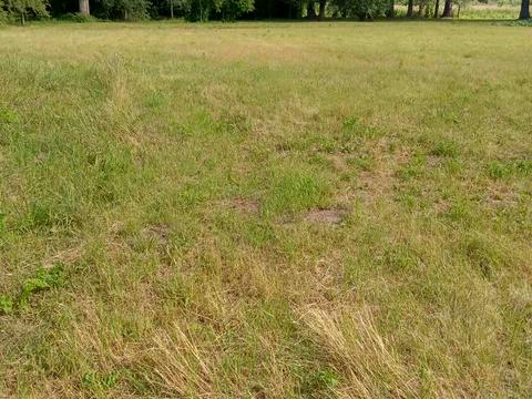 участок по адресу провулок Березовий, 10