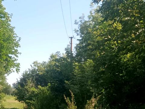 участок по адресу провулок Березовий, 10