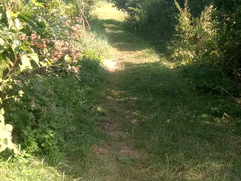 участок по адресу провулок Березовий, 10