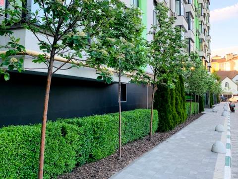 квартира по адресу Павла Лі пер. (Московский), 2-А