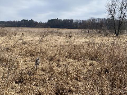 участок по адресу Набережная, 133