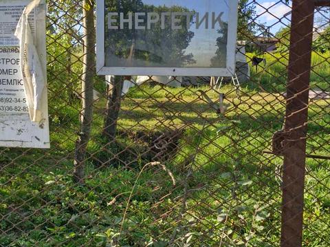 ділянка за адресою 