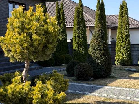 будинок за адресою Довга