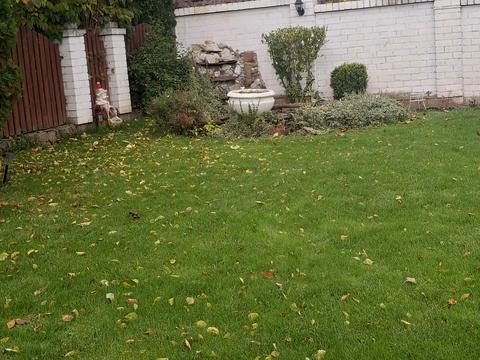 будинок за адресою Шевченка вул., 36