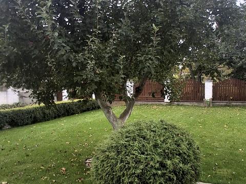 будинок за адресою Шевченка вул., 36