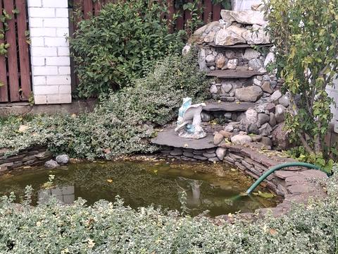 будинок за адресою Шевченка вул., 36