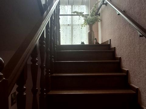 будинок за адресою Шевченка вул., 36