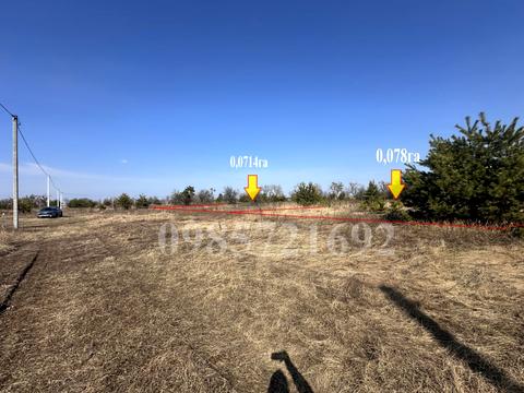 ділянка за адресою с. Липовий Скиток, П. Бондаренка