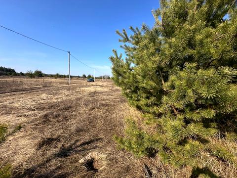 ділянка за адресою с. Липовий Скиток, П. Бондаренка