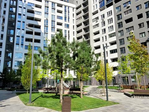 комерційна за адресою Панорамна вул., 2