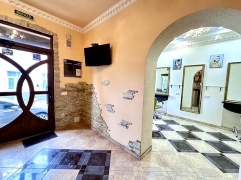 комерційна за адресою Маєра Балабана вул., 21