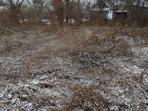 ділянка за адресою Лесі Українки вул.