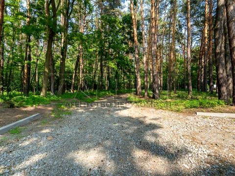 дом по адресу Приморська, 2Б