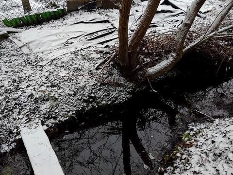 ділянка за адресою Лесі Українки вул.