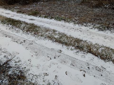 ділянка за адресою Лесі Українки вул.