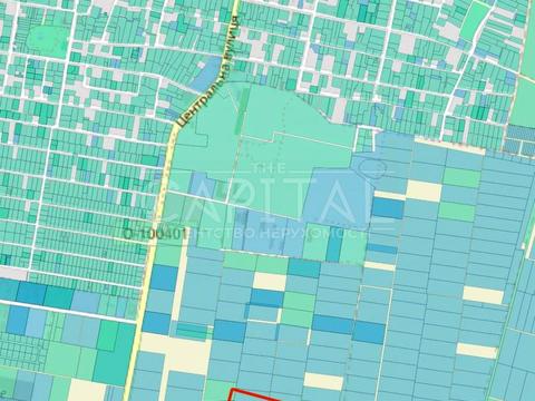 участок по адресу Центральна ул.