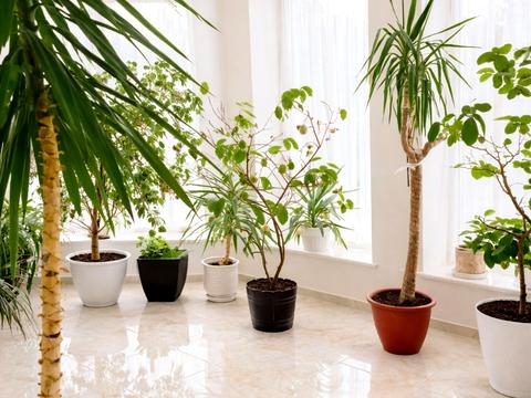 будинок за адресою Ватутіна пров.