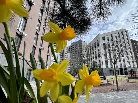 квартира по адресу Панорамная ул., 2