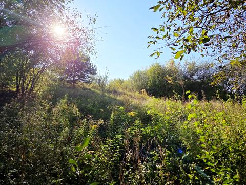 дом по адресу Незнайка, 46