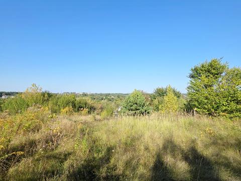 дом по адресу Незнайка, 46