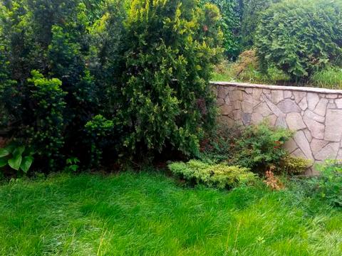 дом по адресу Парижской Коммуны ул.