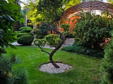 дом по адресу Динамо ул.