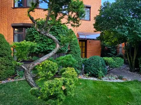 дом по адресу Динамо ул.