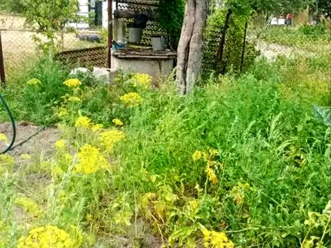 будинок за адресою Марії Приймаченко, 75