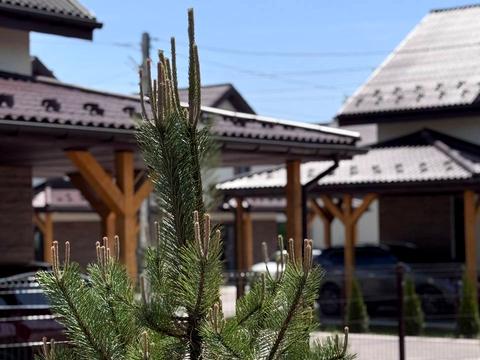 дом по адресу Львовская ул.
