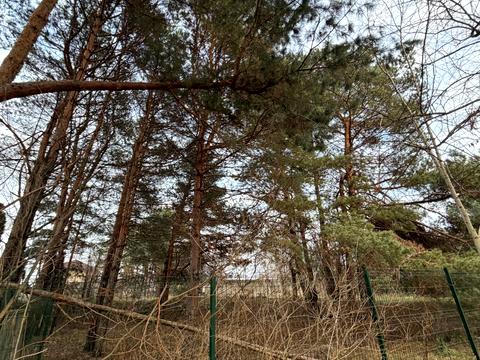 участок по адресу Липская ул.