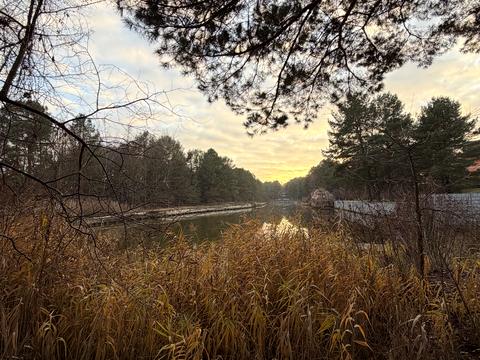 участок по адресу Липская ул.