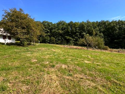 ділянка за адресою с. Черешенька