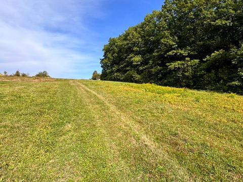 ділянка за адресою с. Черешенька