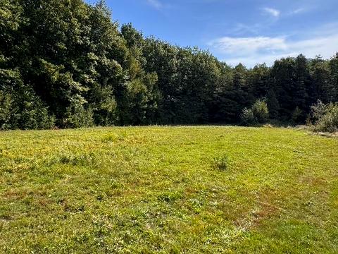 ділянка за адресою с. Черешенька