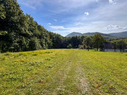 ділянка за адресою с. Черешенька